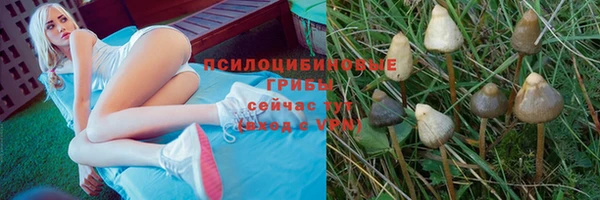 мескалин Алексин