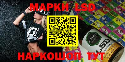 шишки Новодвинск