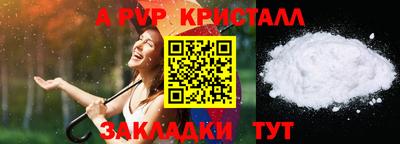 шишки Новодвинск