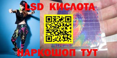 шишки Новодвинск