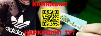 шишки Новодвинск
