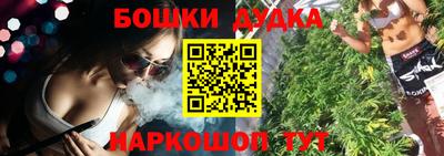 шишки Новодвинск