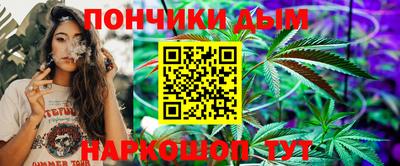 шишки Новодвинск