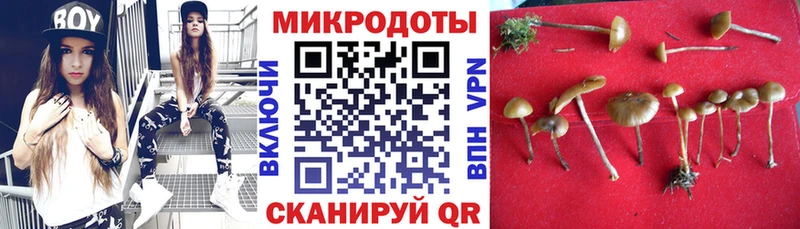 Псилоцибиновые грибы Psilocybe  купить   Чапаевск 