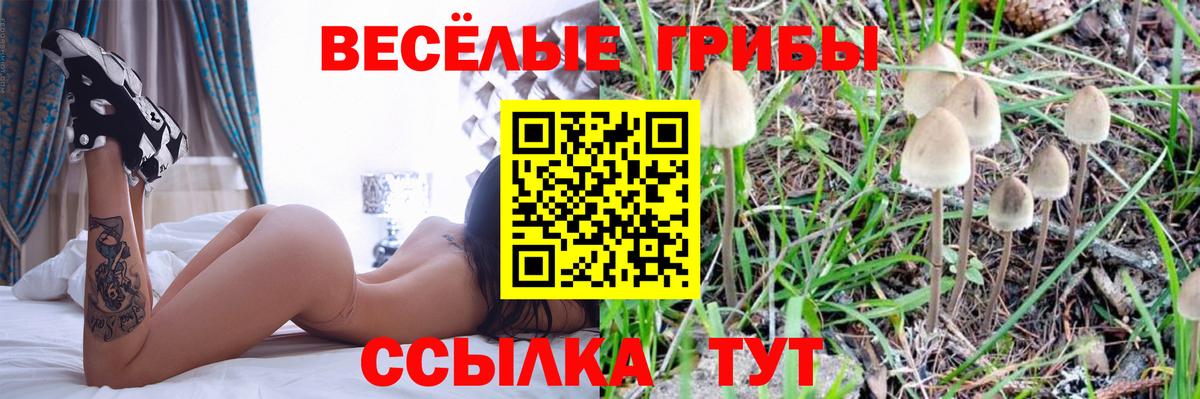 Галлюциногенные грибы ЛСД Чапаевск