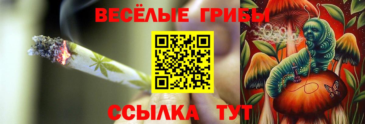 Псилоцибиновые грибы ЛСД  Вход с VPN  Чапаевск  Галлюциногенные грибы ЛСД 